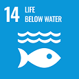 SDG 14 — THE Impact rank band 201–300